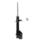 Suspension Strut ST34-16771R