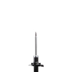 Suspension Strut ST34-16771R