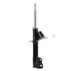 Suspension Strut ST34-16821B