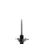 Strut ST34-16851L