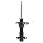 Suspension Strut ST34-17061B