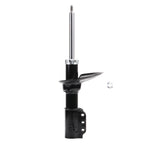 Suspension Strut ST34-17061B