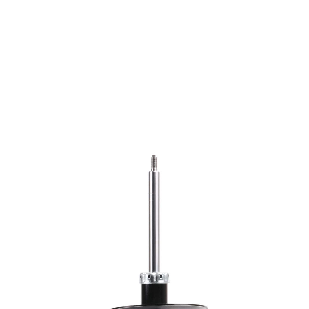 Suspension Strut ST34-17061B