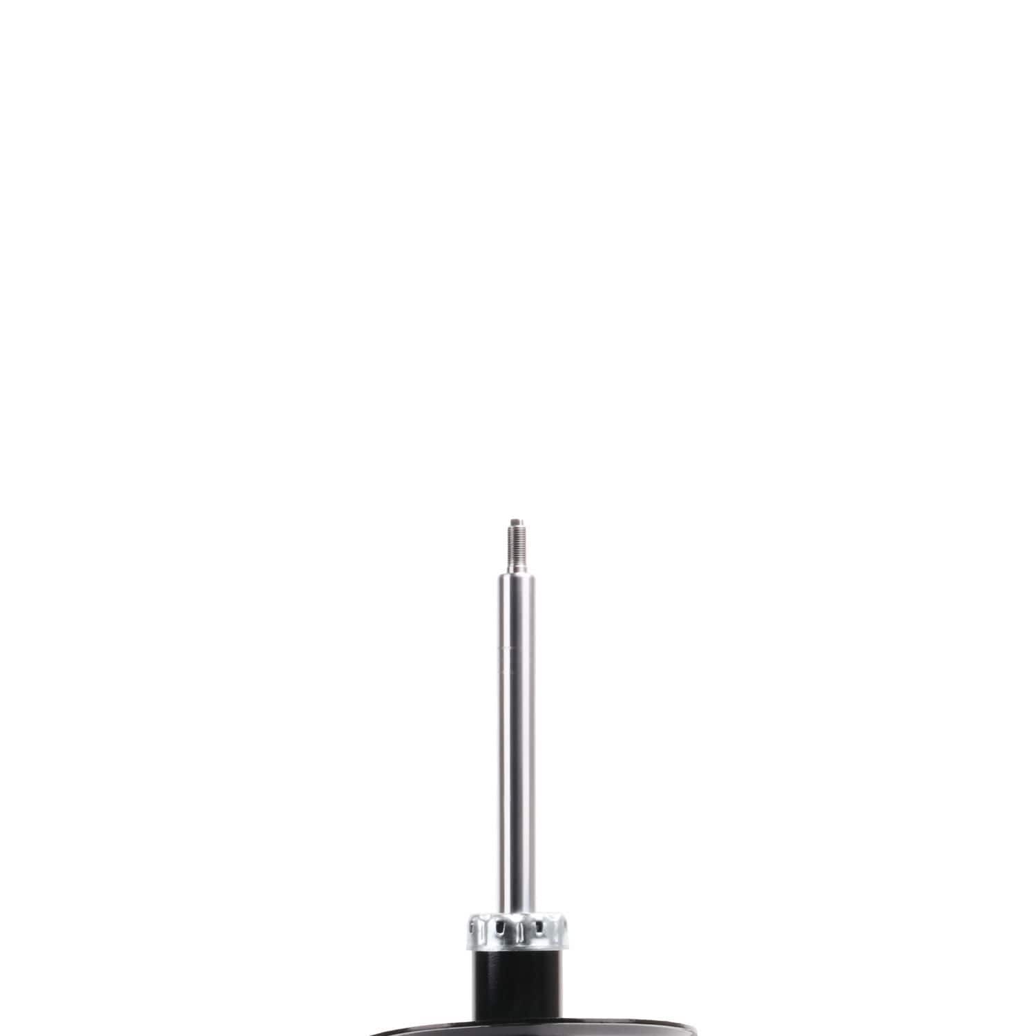 Suspension Strut ST34-17061B