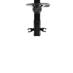 Suspension Strut ST34-17061B