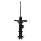 Suspension Strut ST34-17131L