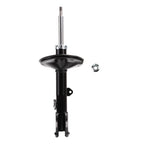 Suspension Strut ST34-17161L