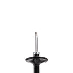 Suspension Strut ST34-17161L