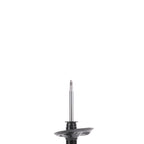 Suspension Strut ST34-17181L
