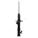 Strut ST34-17191R