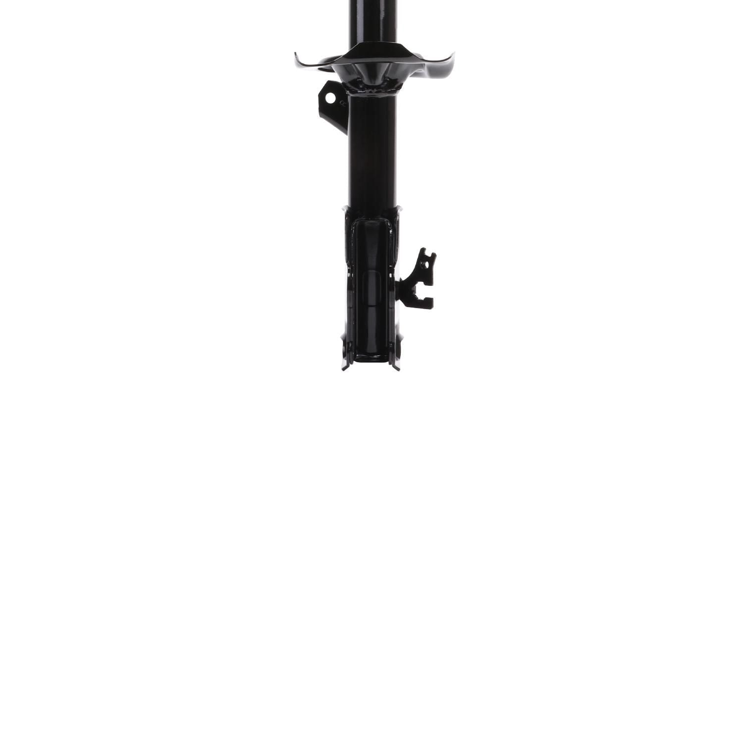 Strut ST34-17191R