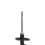 Strut ST34-17312L