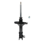 Suspension Strut ST34-17341R