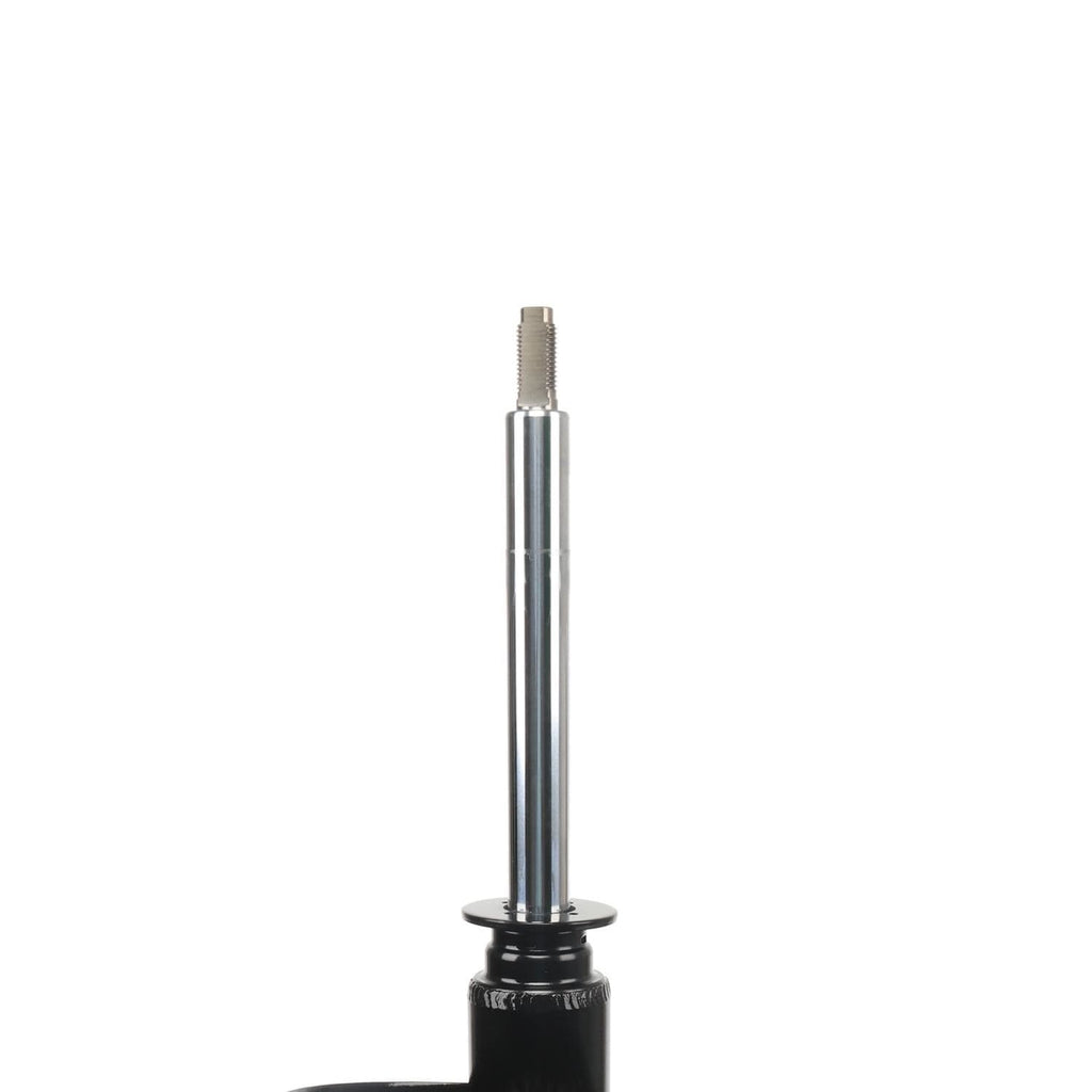 Suspension Strut ST34-17341R