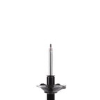 Suspension Strut ST34-17381L