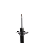 Suspension Strut ST34-17381R
