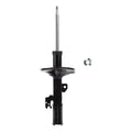 Suspension Strut ST34-17411L