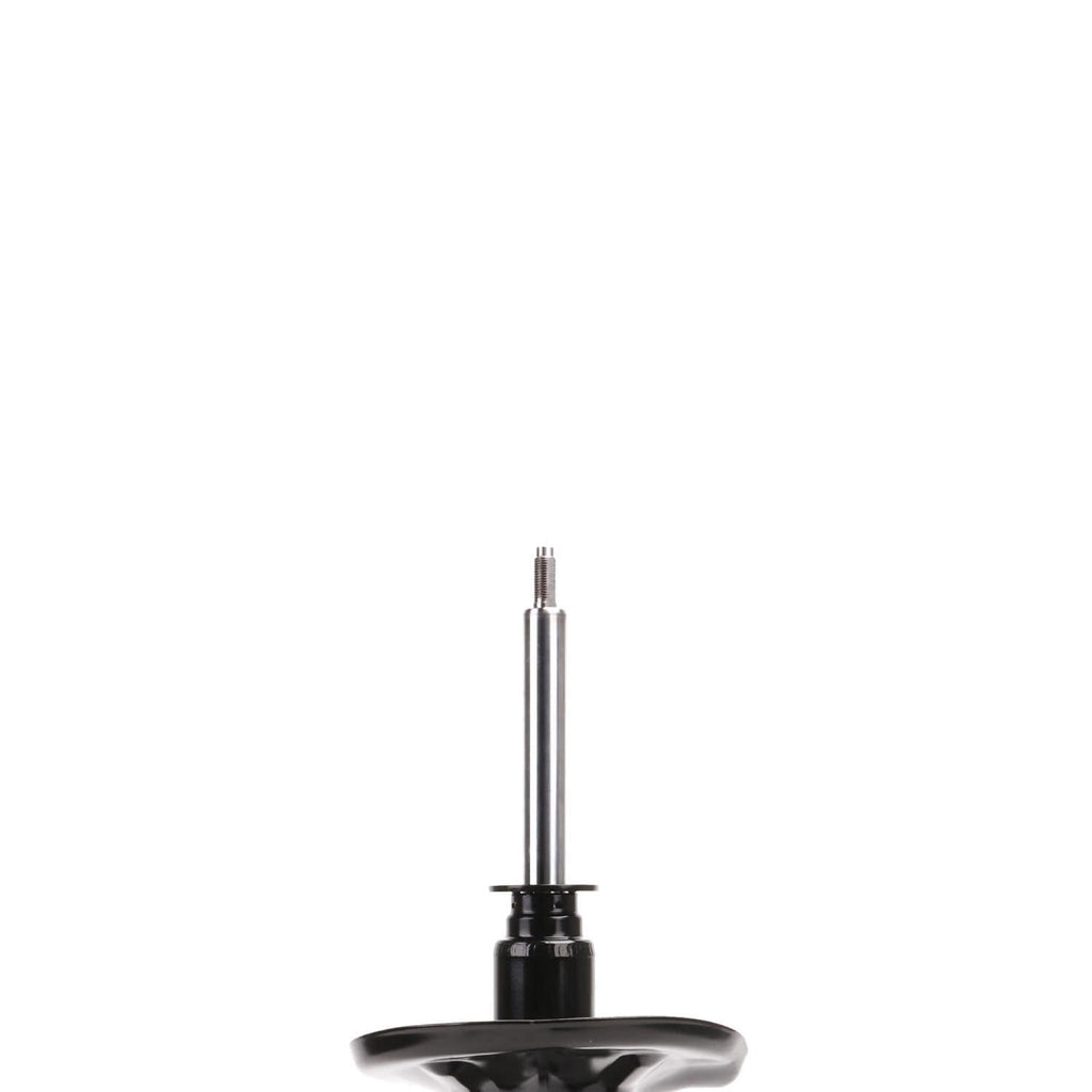 Suspension Strut ST34-17421B