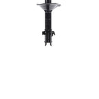 Suspension Strut ST34-17431L