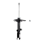Strut ST55-27012L