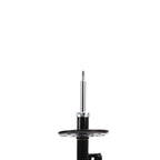 Suspension Strut ST55-27191L