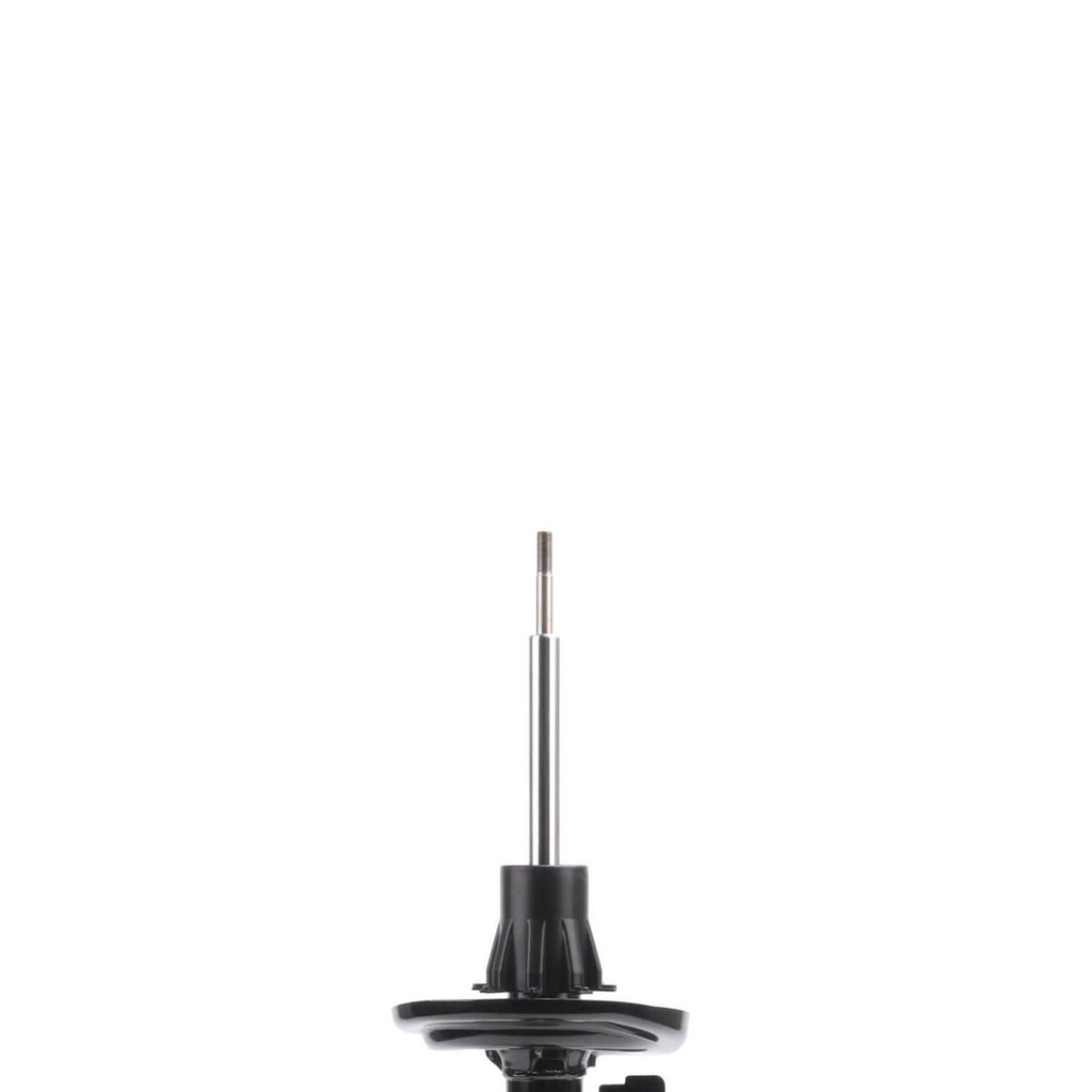 Suspension Strut ST55-27201R
