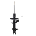 Suspension Strut ST55-27241R