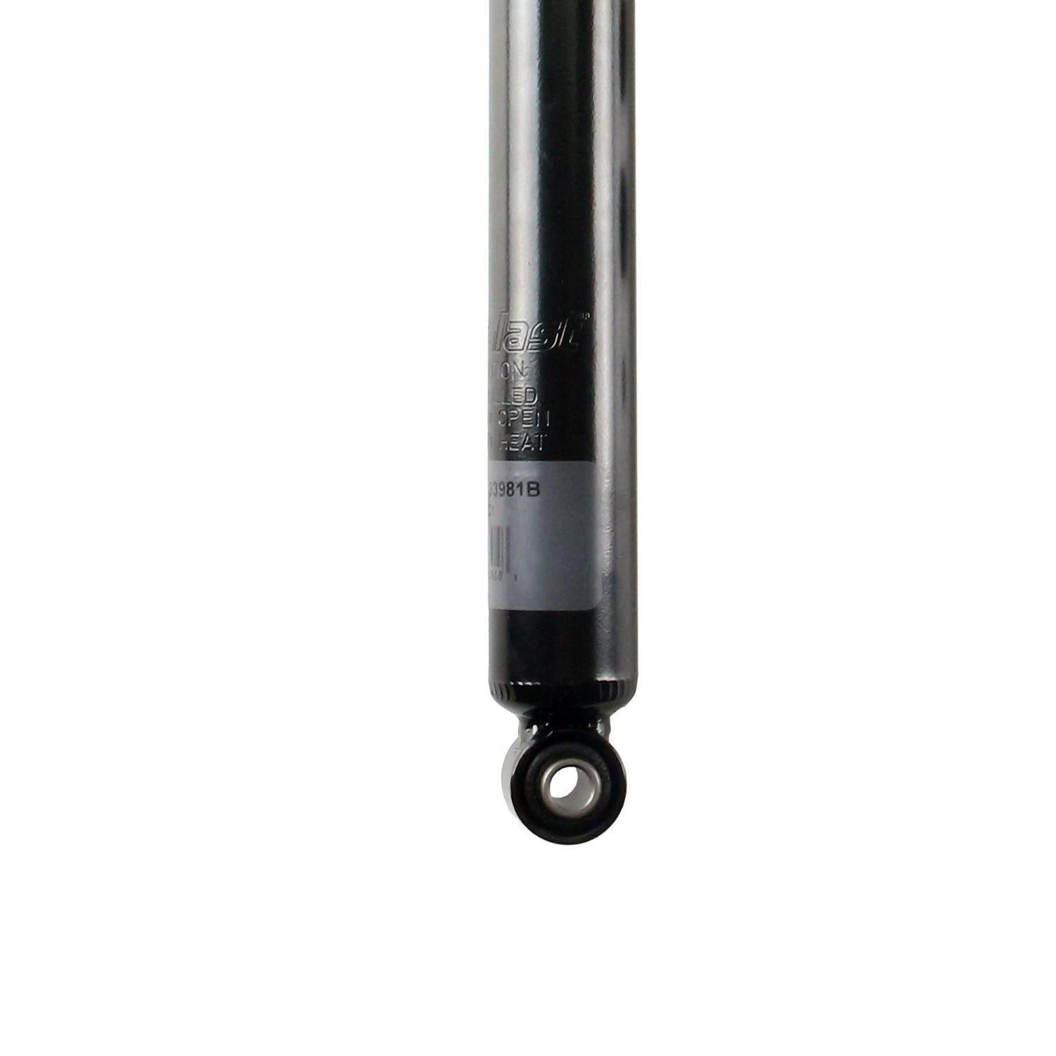 Suspension Shock Absorber TS33-33981B