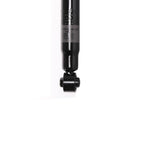 TwinTube Strut TS33-34932B