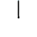 Suspension Shock Absorber TS33-41112B