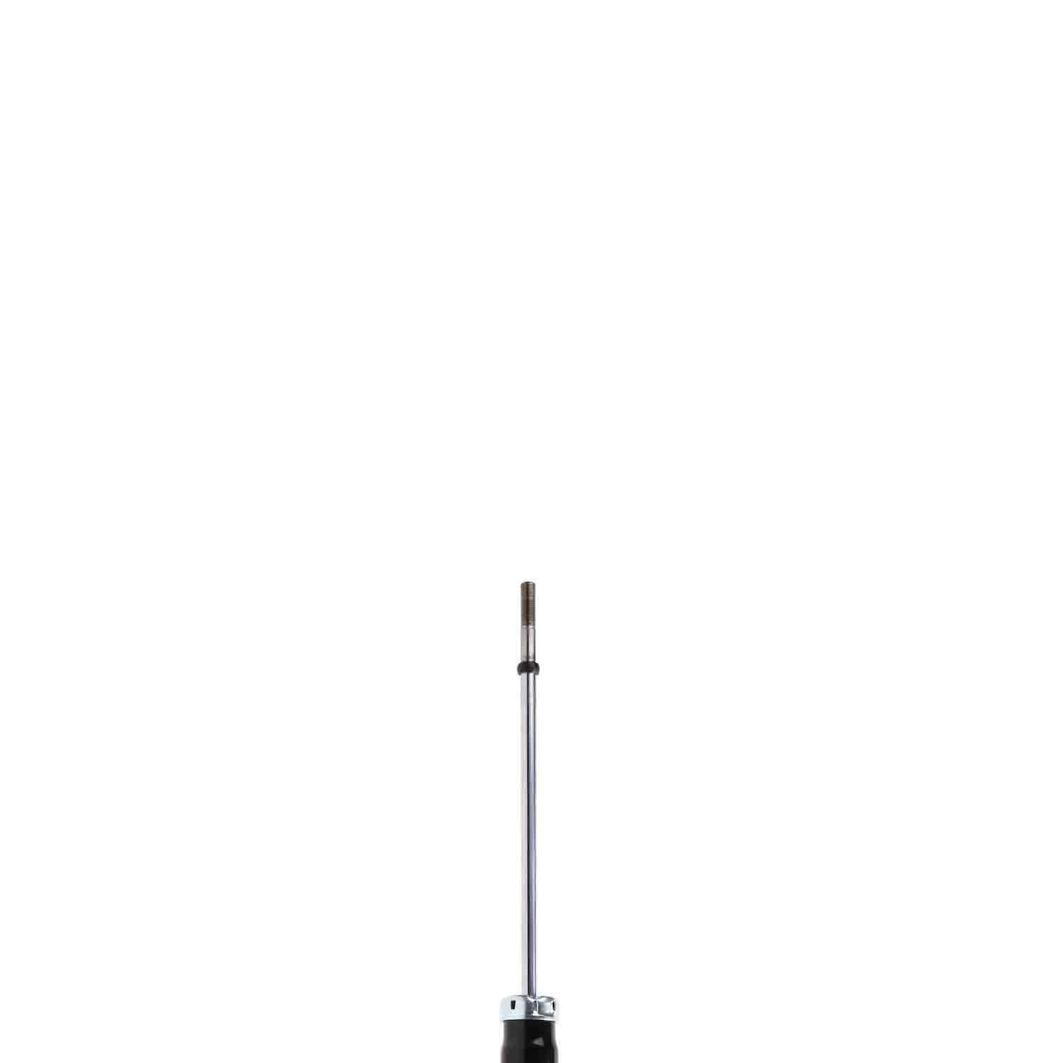 Suspension Strut TS33-41132B