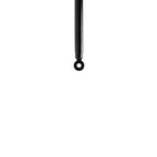 Suspension Strut TS33-41132B