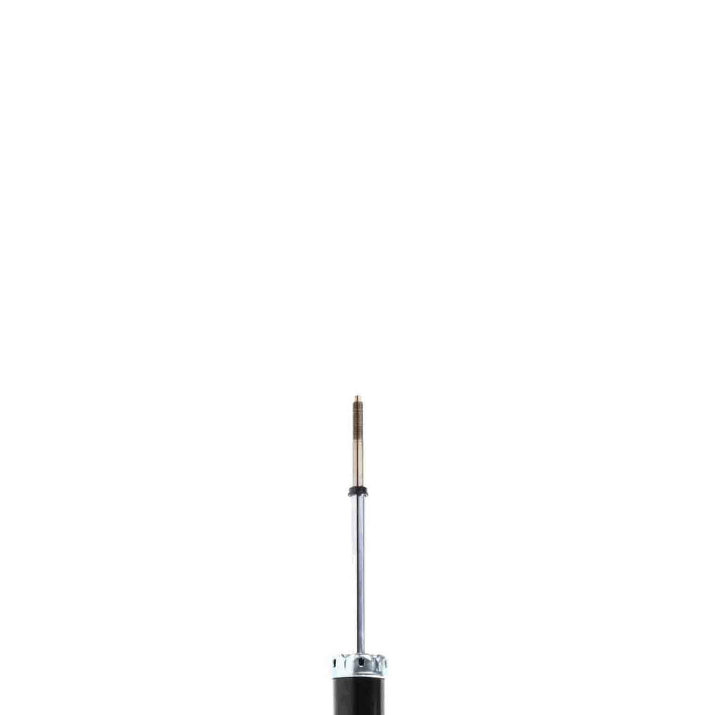 Suspension Strut TS33-41142B