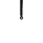 Suspension Strut TS33-41142B
