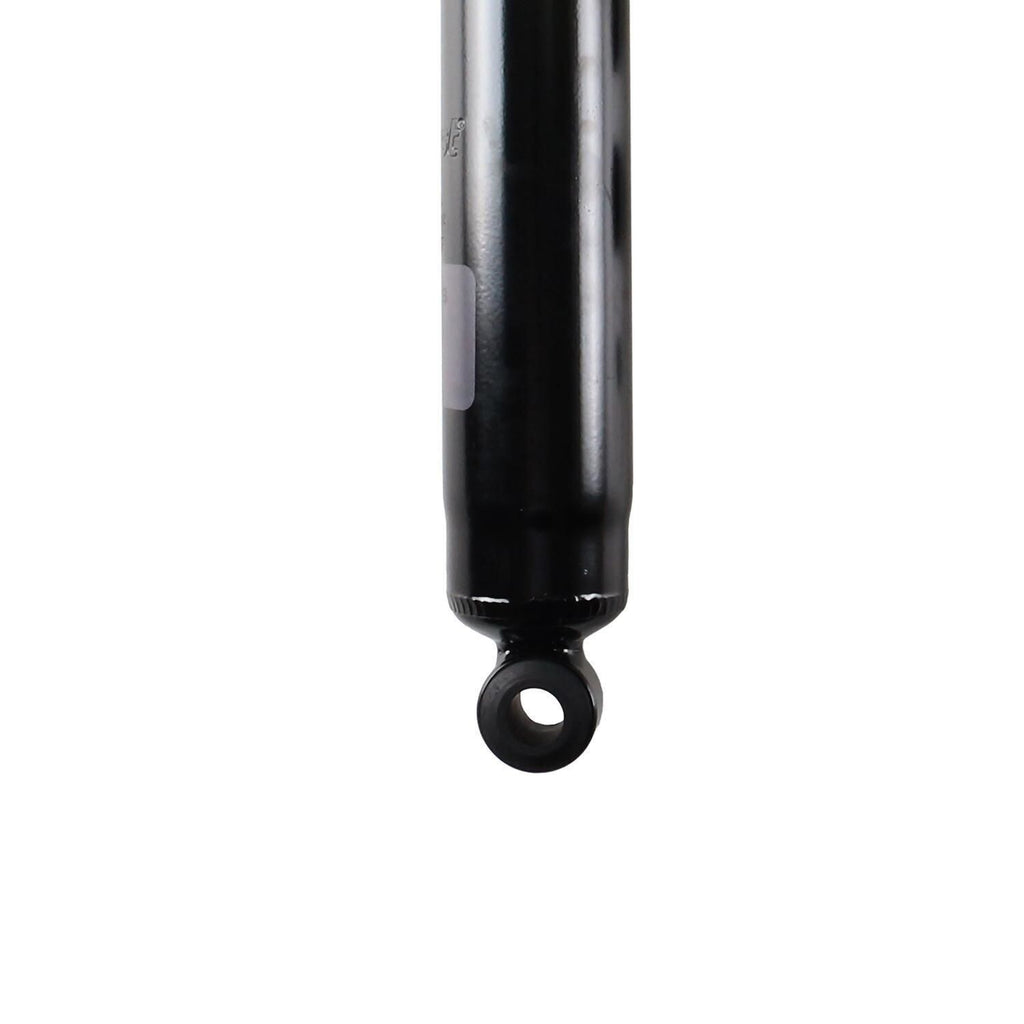 Suspension Strut TS34-31391B