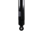 Suspension Strut TS34-31441B