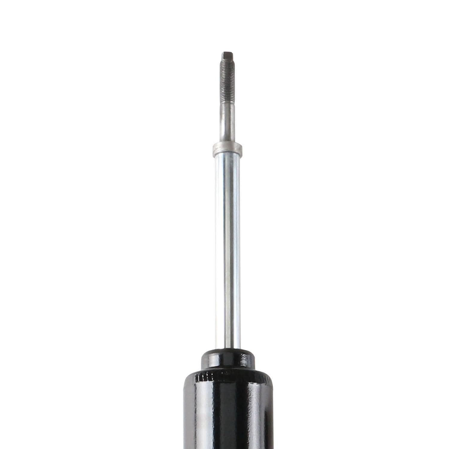 Suspension Strut TS34-31751B