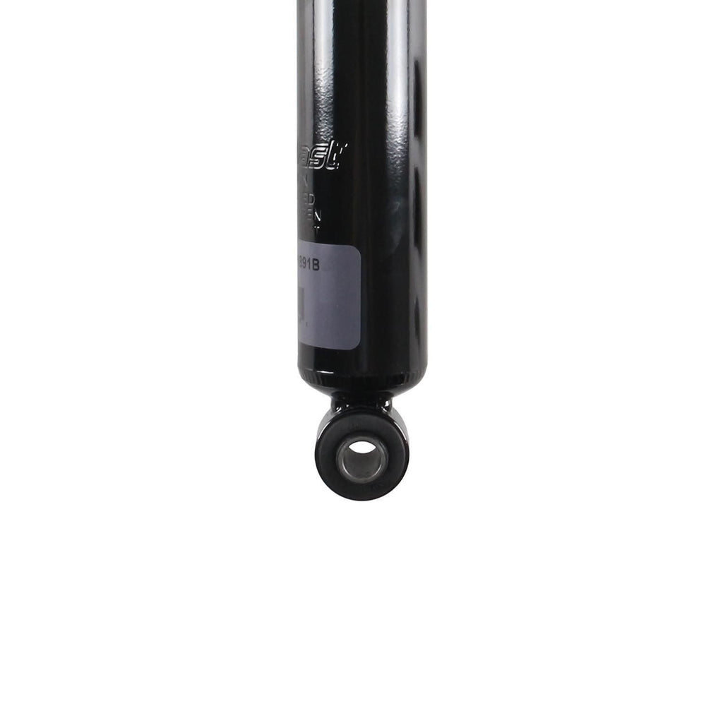 Suspension Strut TS34-31891B