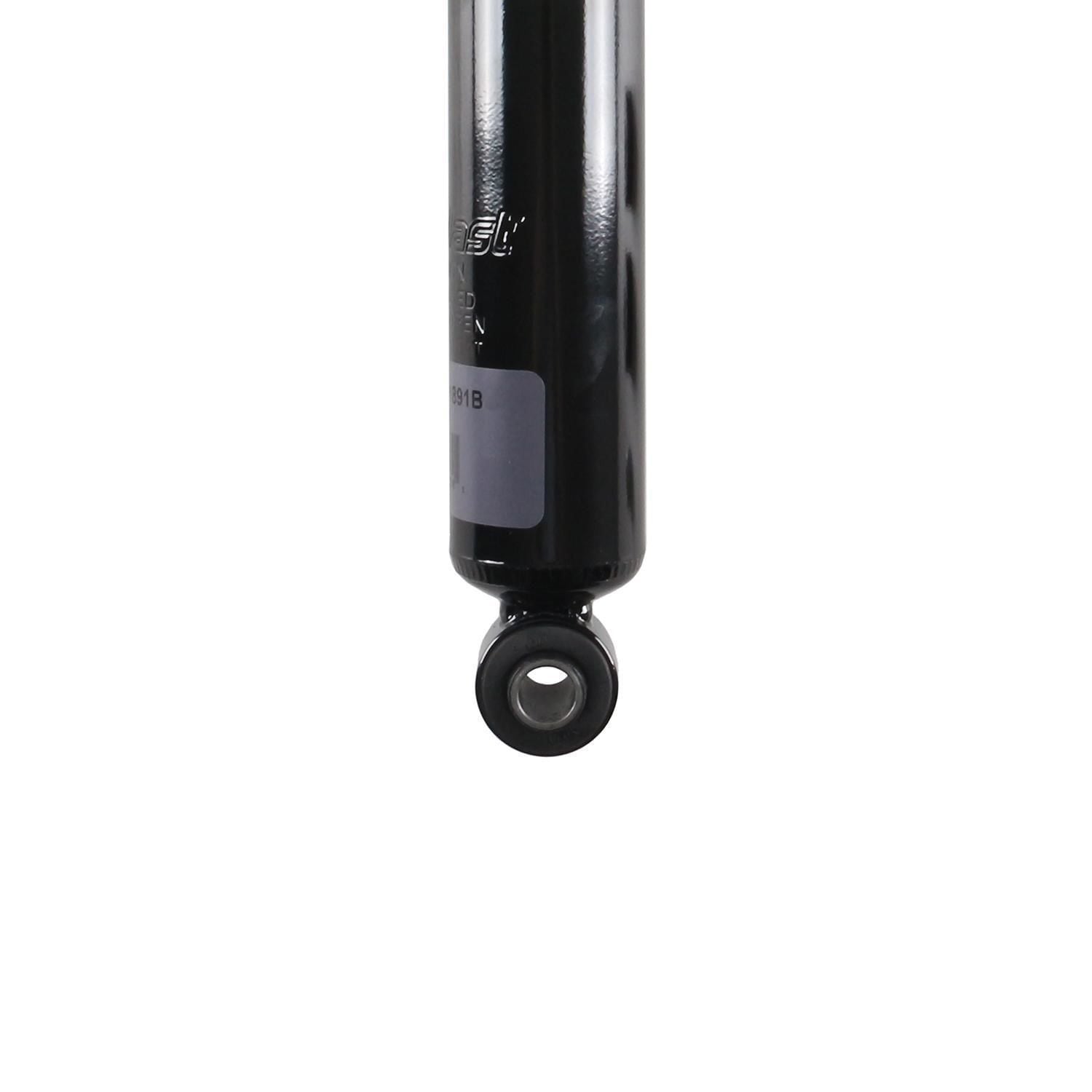 Suspension Strut TS34-31891B