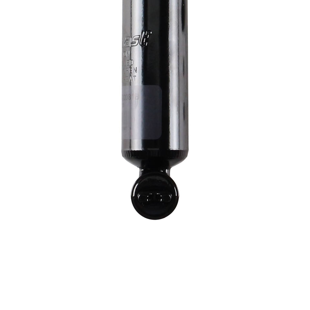 Suspension Strut TS34-32081B