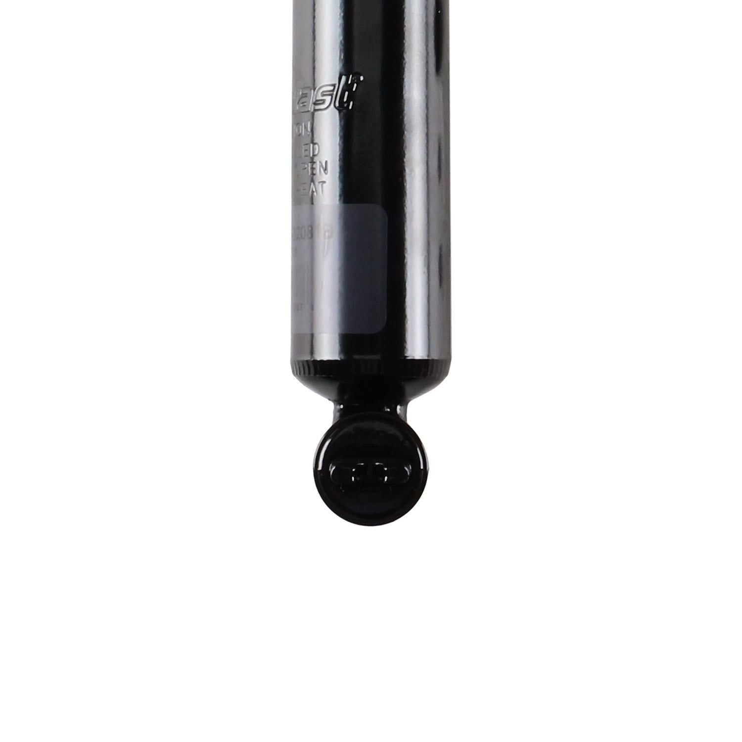 Suspension Strut TS34-32081B