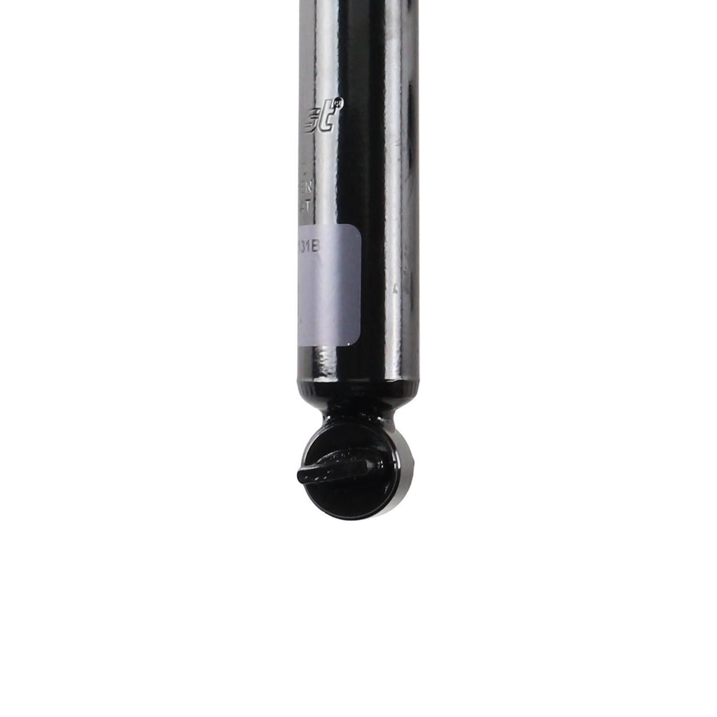 Suspension Strut TS34-32131B