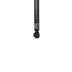 Suspension Strut TS34-35012B