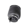 Autotecnica Air Suspension Spring TY0919457