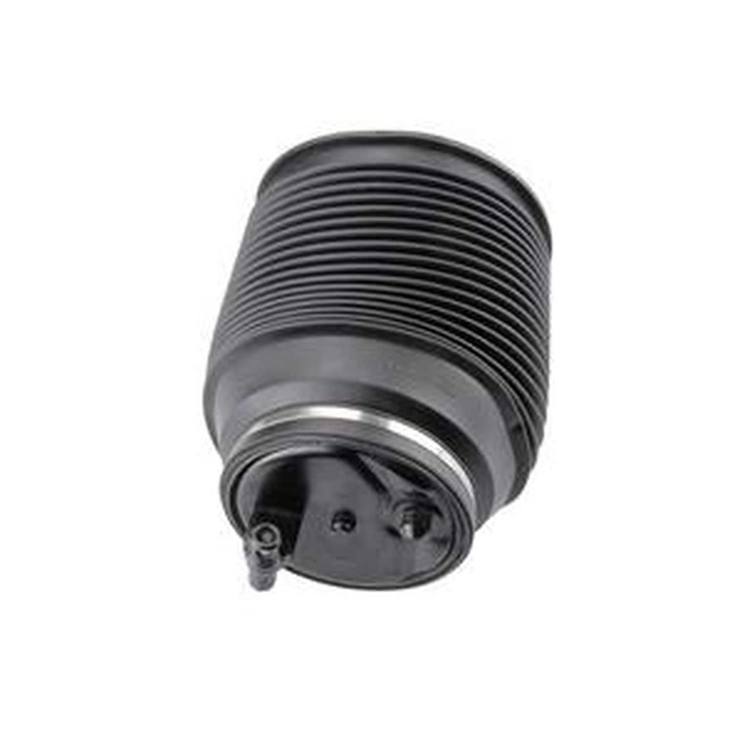 Autotecnica Air Suspension Spring TY0919457