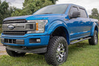 SF1 Fender Flares | SZ Blue Flame | Ford F-150 2WD/4WD (2015-2017)