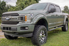 SF1 Fender Flares | BN Silver Spruce | Ford F-150 2WD/4WD (2018-2020)