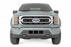 SF1 Fender Flares | BN Silver Spruce | Ford F-150 2WD/4WD (2021-2026)