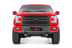 Mesh Grille | Ford F-150 2WD/4WD (2015-2017)