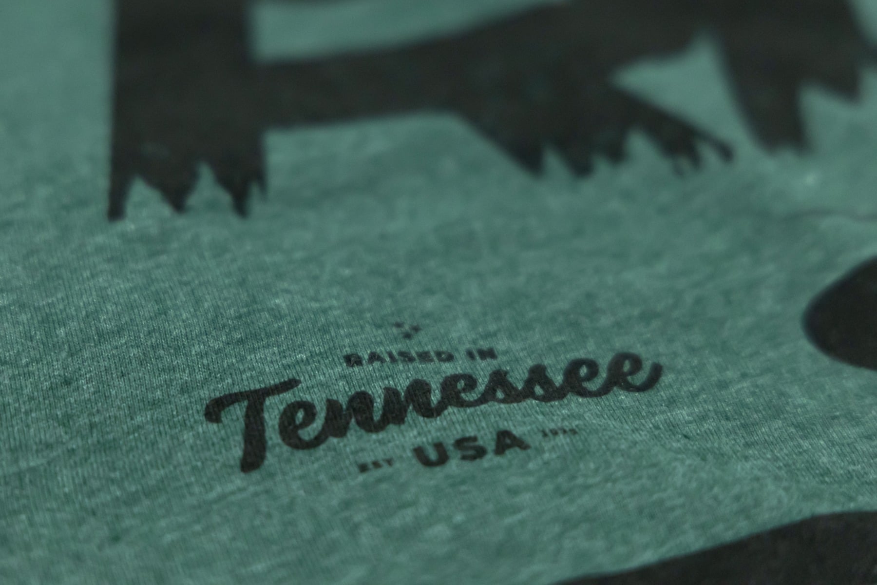Rough Country T-Shirt | RC Mountains | Forest Green | 3XL